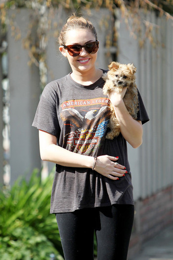 Miley Cyrus Miley Cyrus Dog Toluca Lake 3O4IqOUI9Q6l - Miley Cyrus