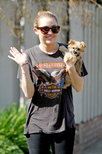 Miley Cyrus Miley Cyrus Dog Toluca Lake RJxzyIXTZqMl - Miley Cyrus