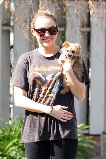 Miley Cyrus Miley Cyrus Dog Toluca Lake RZsmj1xehOrl - Miley Cyrus