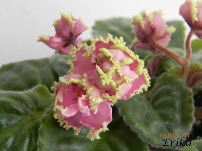 Potseluy Rusalki 17-08-2011