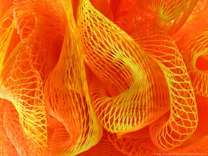 orange-scrunch-001 - Orange