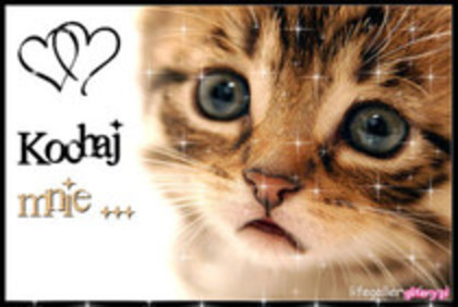 Ai ceva putere catre animale!Daca te concetrezi bine poti sa o invingi pe ei.