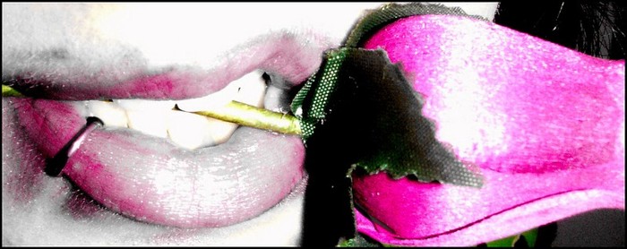 457530907_2d9fa289ea_b