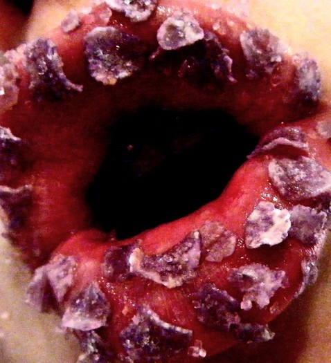 3678027284_8997a70dbb_o