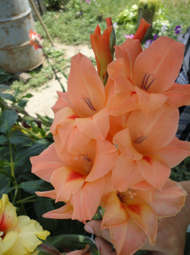 DSC03140