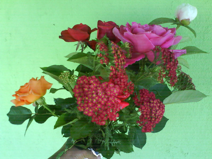 DSC05778 - buchete de flori