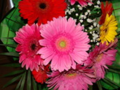 NC70JMD3OTLYIWQJU1SQHCBIE