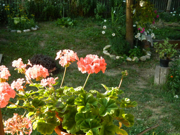 047 - 08_AUGUST