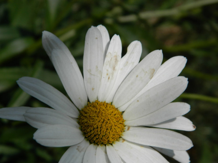 072 - 08_AUGUST