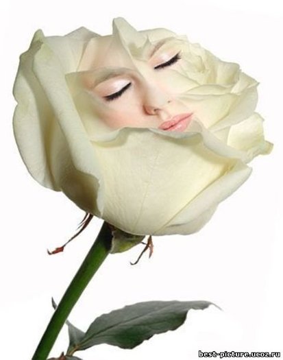 516238163 - poze poze