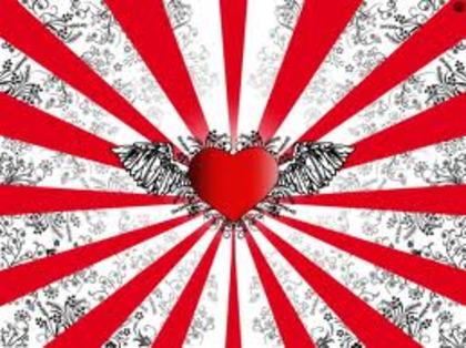 images (13) - poze poze