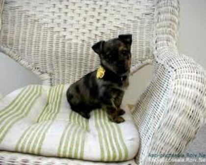 images (12)