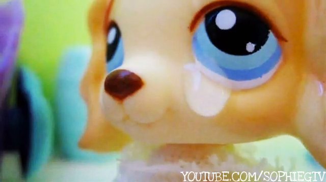 rachel - littlest pet shop popular