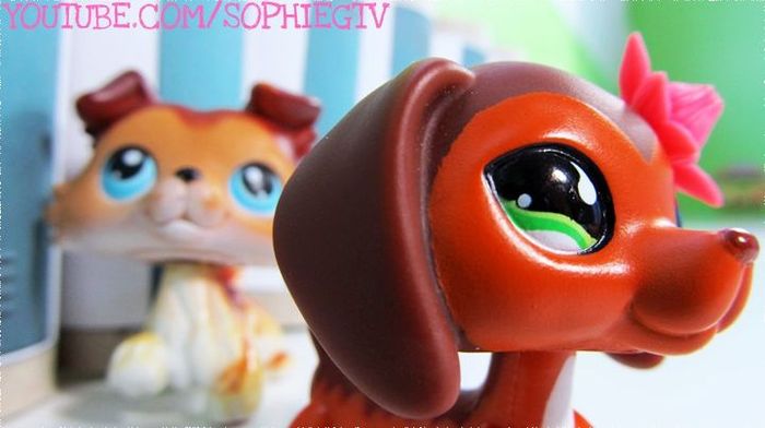 sage si savy - littlest pet shop popular