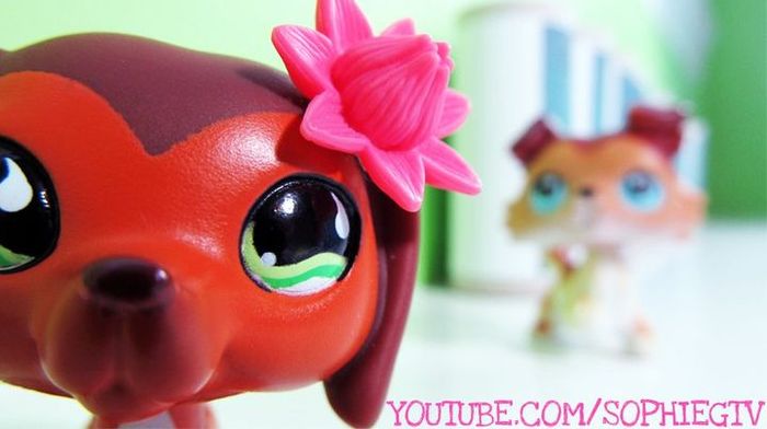 sav si sage - littlest pet shop popular