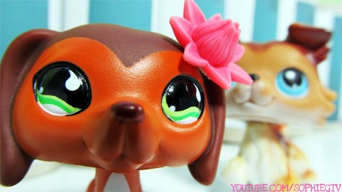 savannah reed si sage bond - littlest pet shop popular