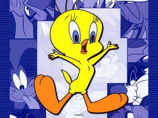 tweety[1] - twetty