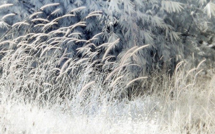 Lost In Dream By Brumie - peisaje