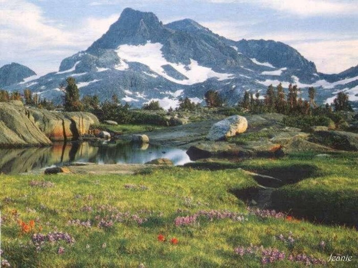 Mountain  River  - peisaje