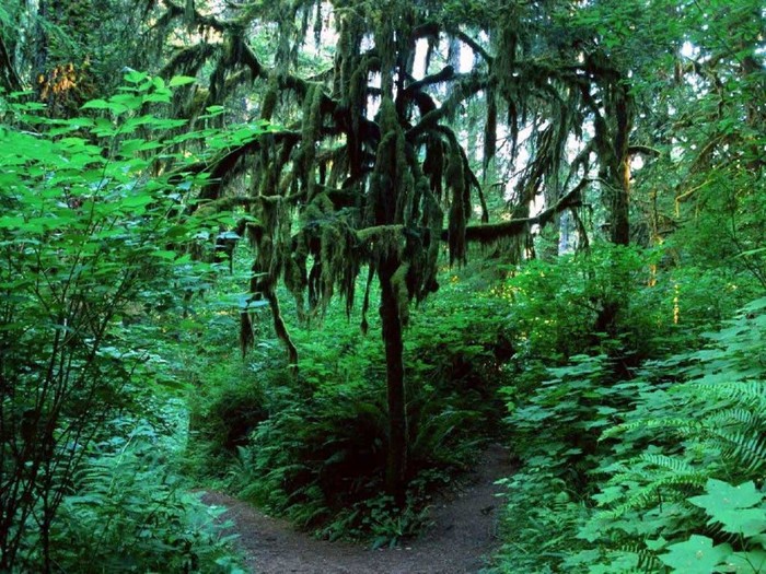 nature_232 - peisaje