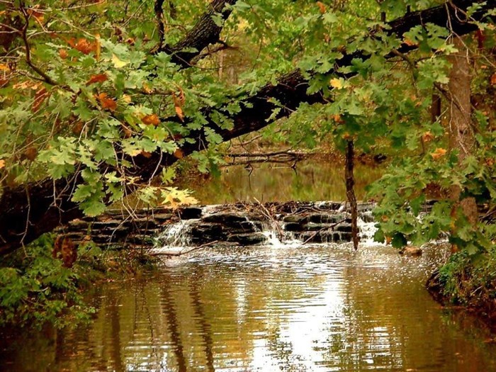 nature_234 - peisaje