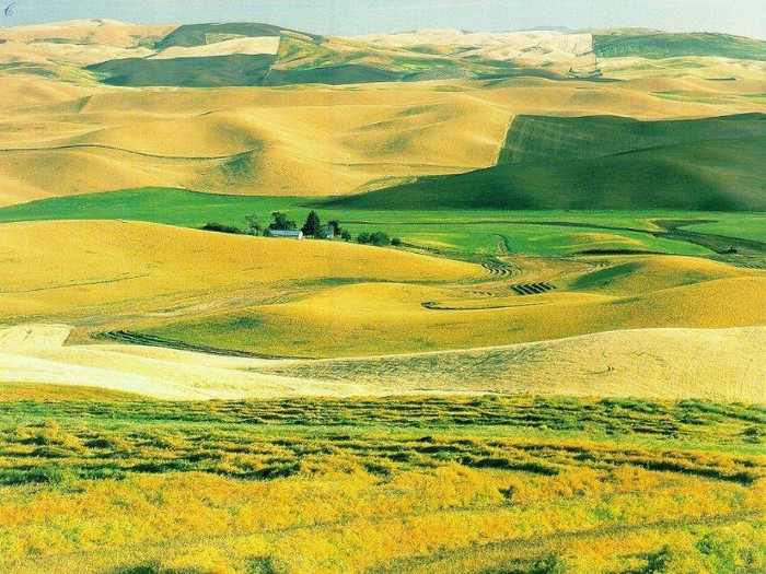 nature_245 - peisaje