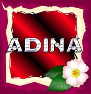 9X0T4CCAXGH2LKCAJ2HXT7CACA145ZCAG2A9E0CAELBBVMCARFO1FFCA2YEHXYCAZMUIUPCA87C5KUCAC80SURCAN5HOW3CA21J8 - Avatare Nume