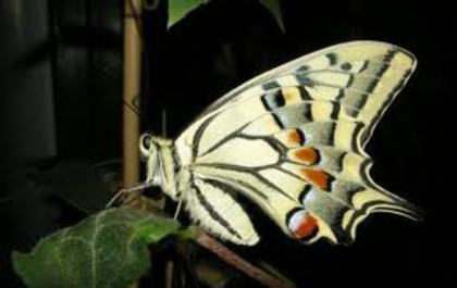 X9VT1XCARM7XYYCABQFVOCCAII5RGCCA3Z7OC5CAGJ7MV1CARIKRBWCAWURQ0KCALQ1E6SCA1XG332CAFELKP9CAOUATT5CAUDRK