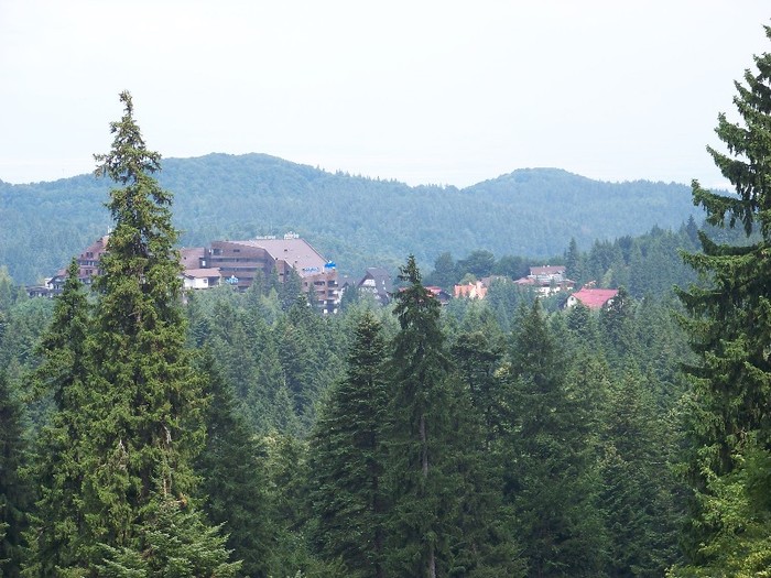 100_2238 - Postavarul