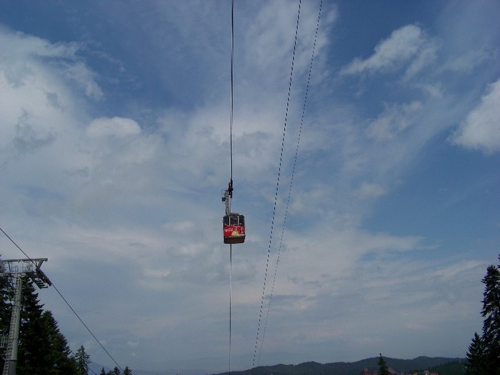 100_2241 - Postavarul