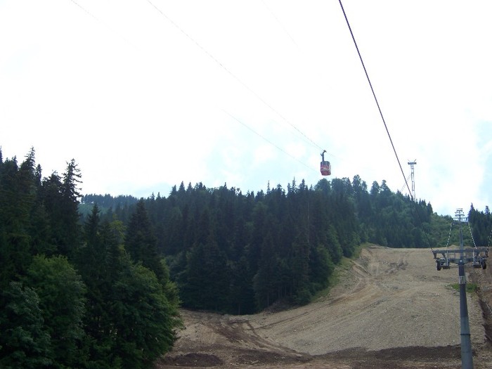 100_2247 - Postavarul