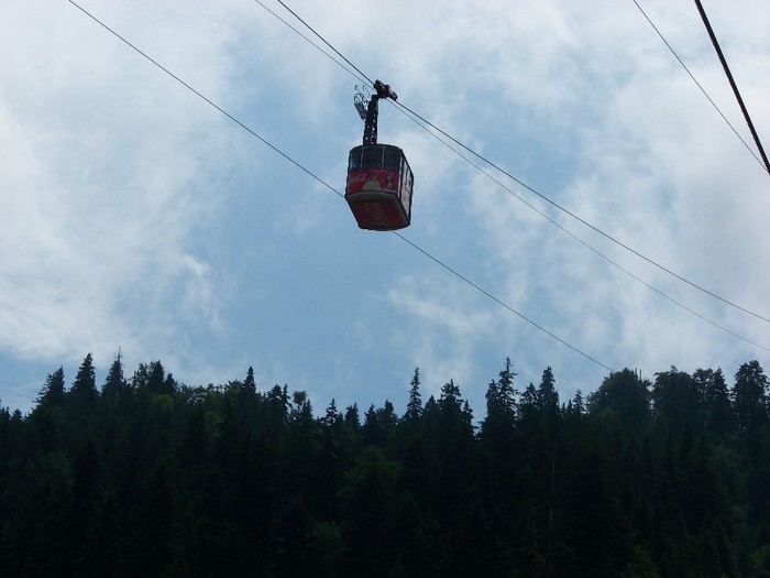 100_2248 - Postavarul