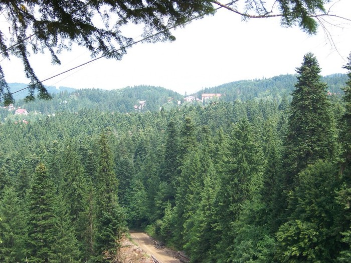 100_2256 - Postavarul