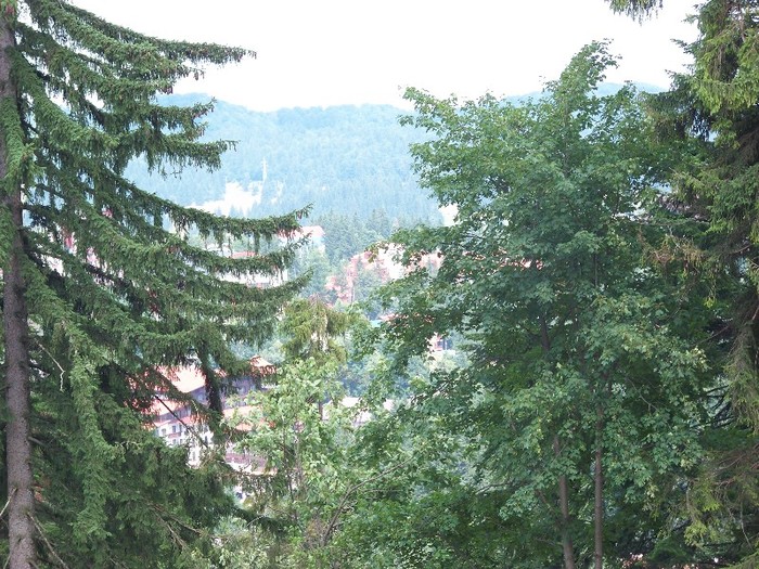 100_2258 - Postavarul