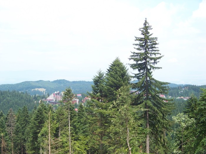 100_2260 - Postavarul
