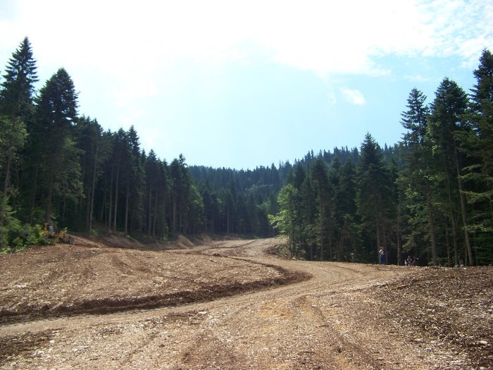 100_2262 - Postavarul