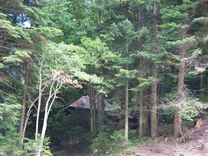 100_2275 - Postavarul