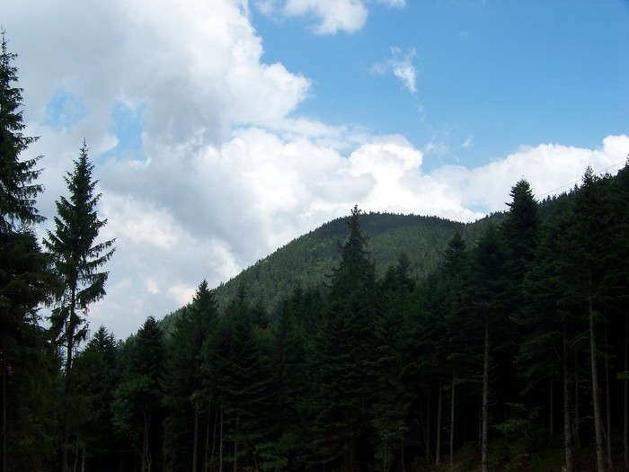 100_2283 - Postavarul