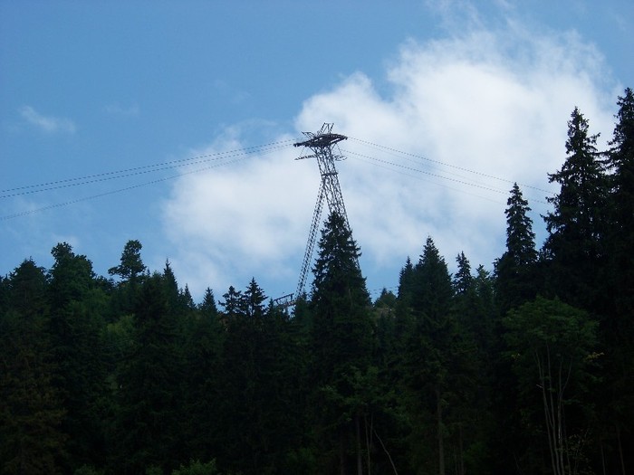 100_2285 - Postavarul