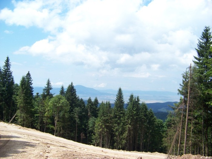 100_2288 - Postavarul