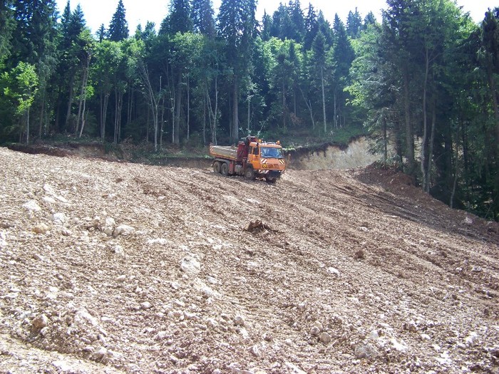 100_2289 - Postavarul