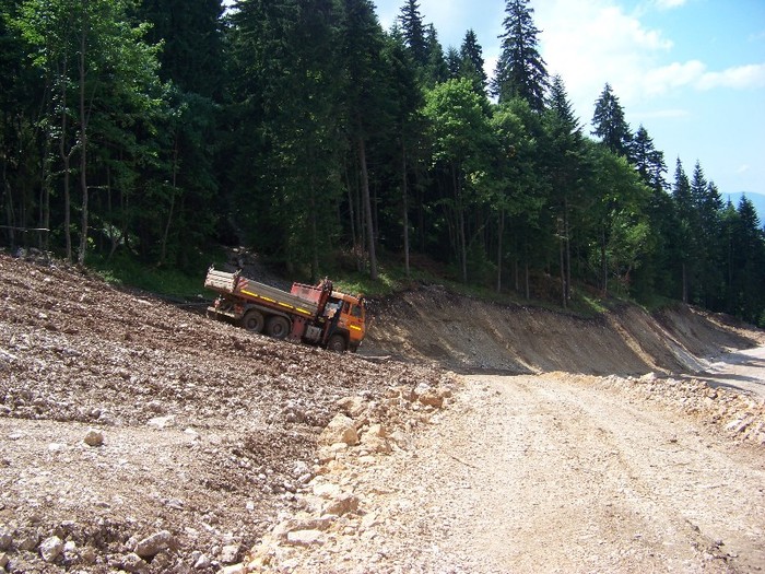 100_2290 - Postavarul