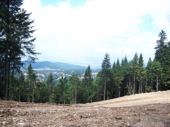 100_2293 - Postavarul