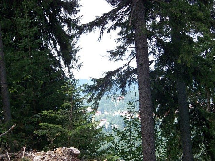 100_2299 - Postavarul