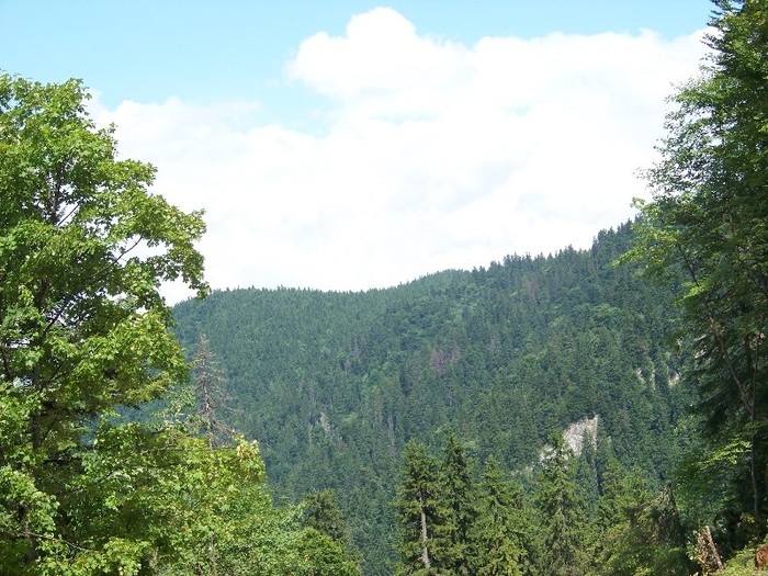 100_2304 - Postavarul