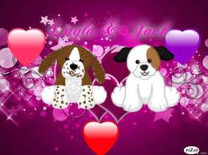 images (17) - poze poze
