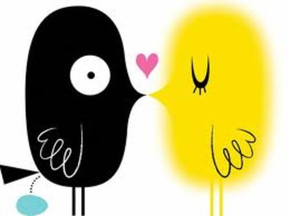 images (23) - poze poze