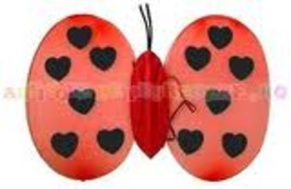 images (48) - poze poze
