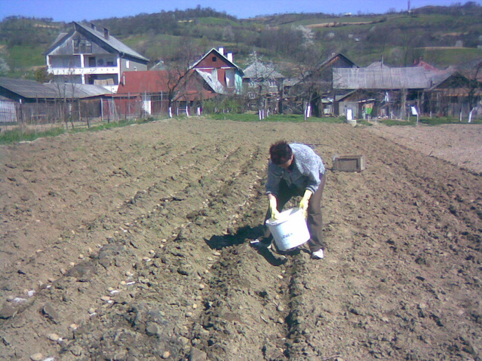 20042011(008) - gradina 2011