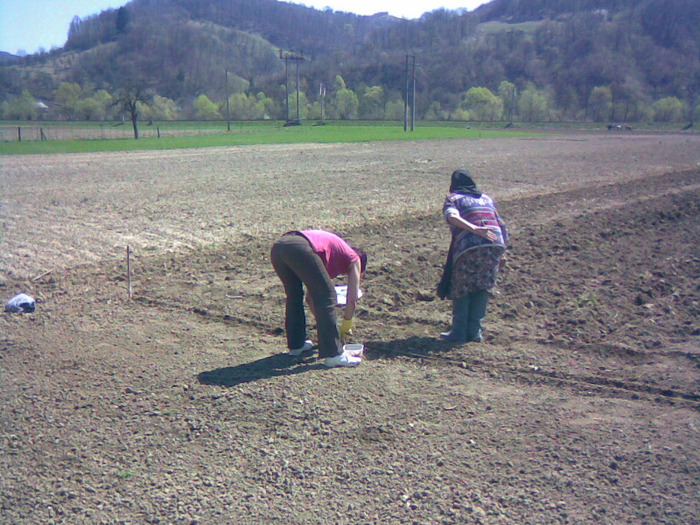 20042011(016) - gradina 2011